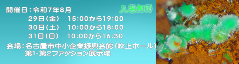 名古屋ミネラルショー2025｜8月29日（金）〜8月31日（日）吹上ホールで鉱物・化石・宝石・アクセサリーの祭典